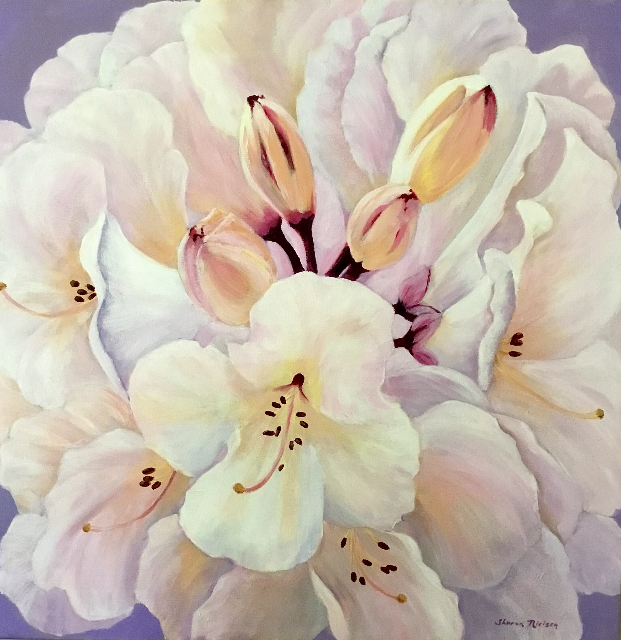 Sharon Nielsen, Painter