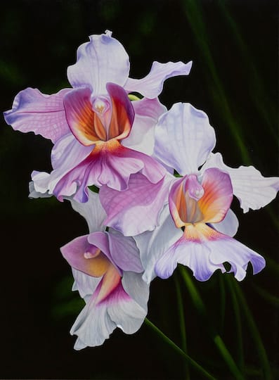 Bert Liverance, Oil Paintings & Watercolours