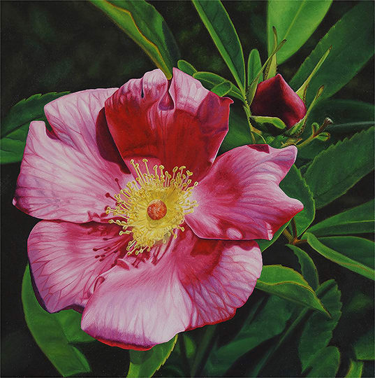 Bert Liverance, Oil Paintings & Watercolors
