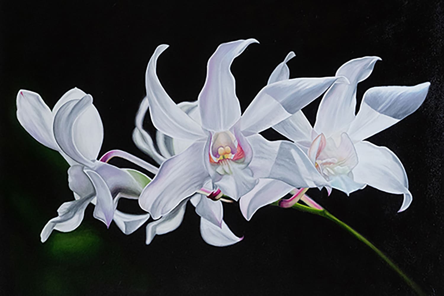 Bert Liverance, Oil Painting & Watercolors