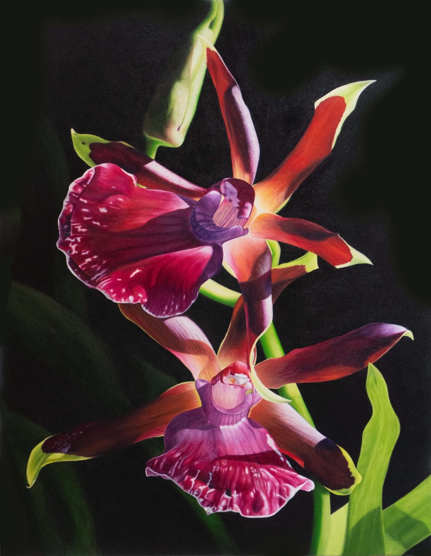 Bert Liverance, Oil Paintings & Watercolors