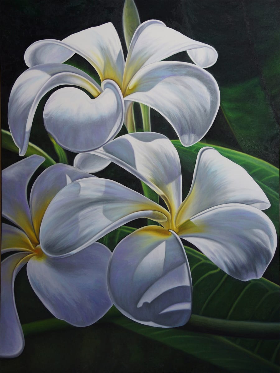 Bert Liverance, Oil Paintings & Watercolours