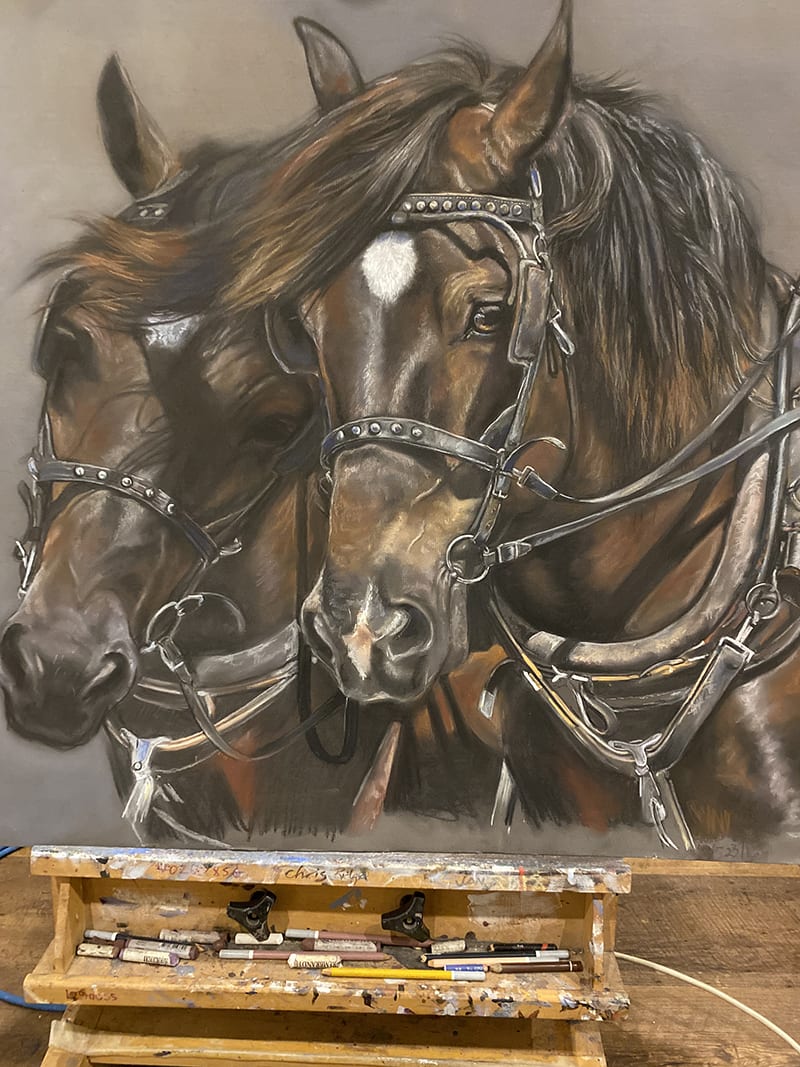 Lynda Cunningham, Oil Paintings