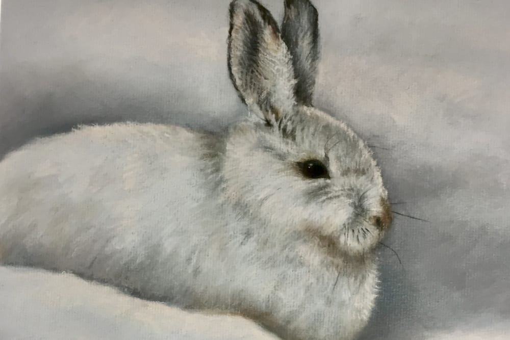 Lynda Cunningham, Uxbridge Artist Profile