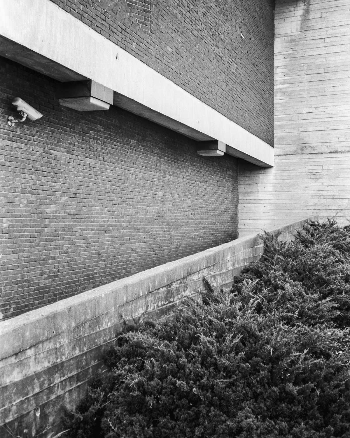 Nick Tinkl, Photographer