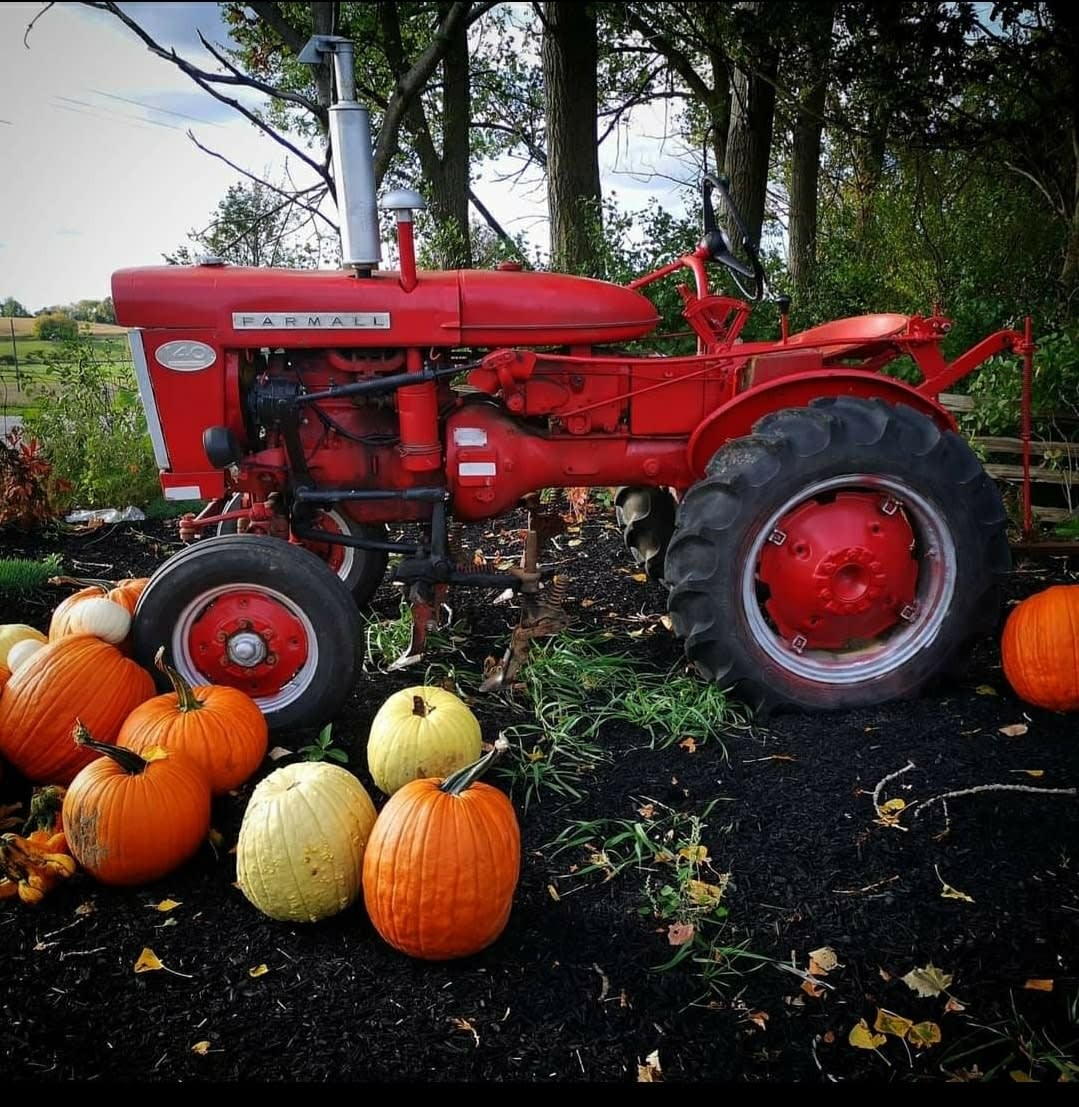 Tractor and pumpkins at Tindall Farm & Market