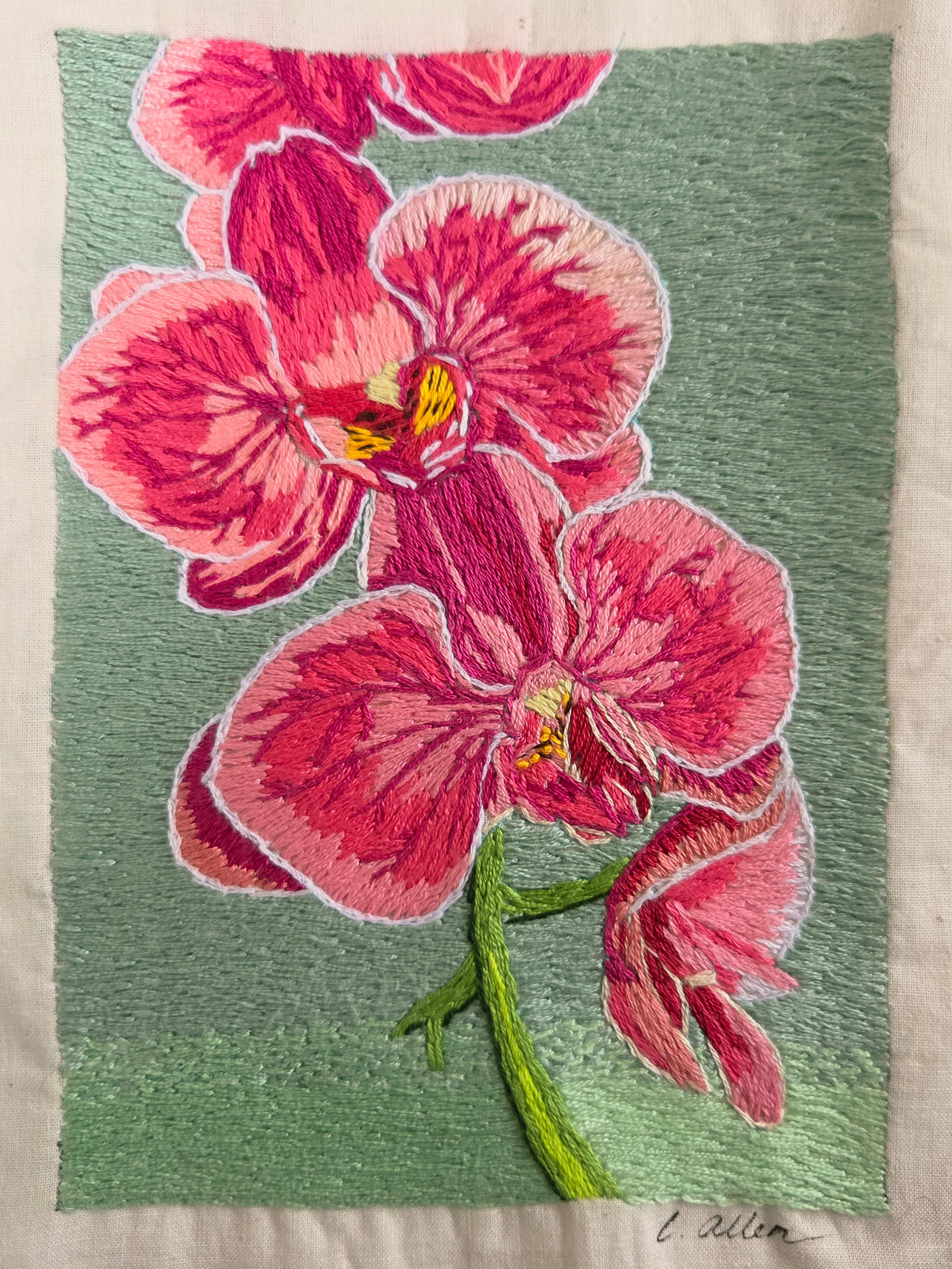 Lisa Allen, Multi-Media Artist