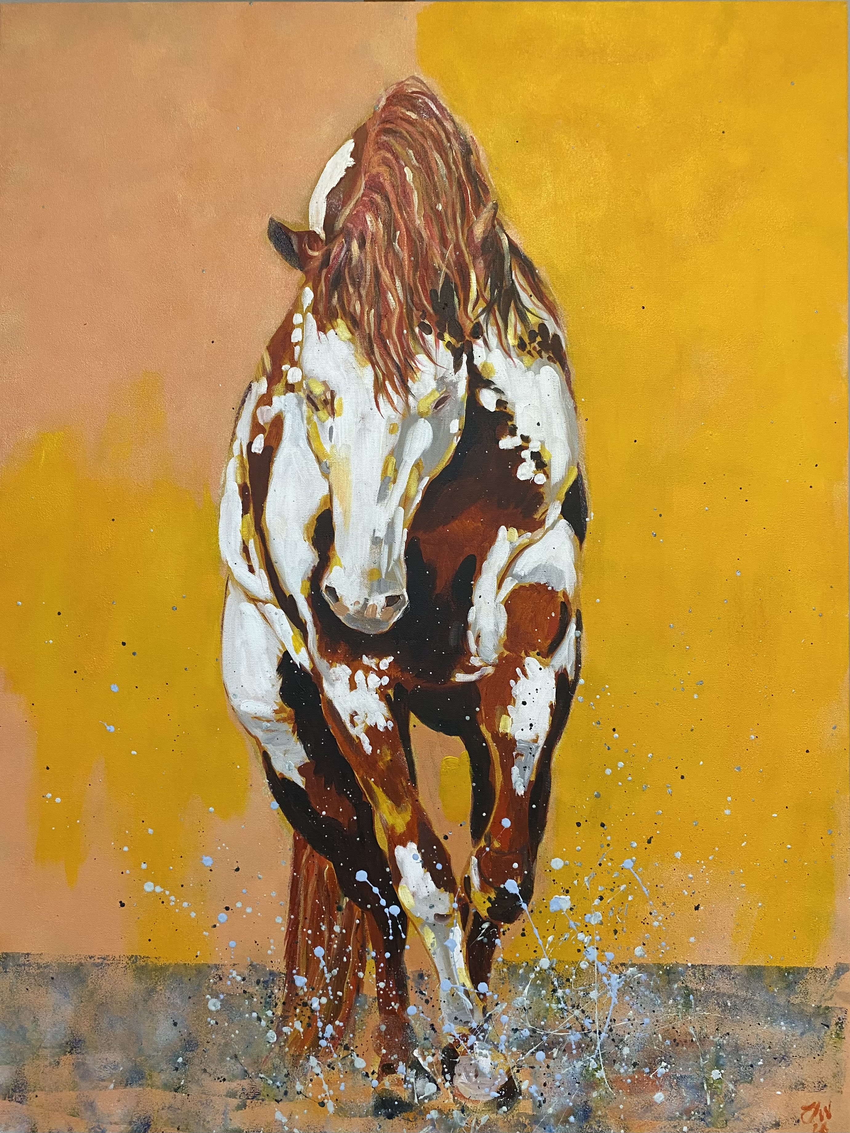 Tamara Williamson, Painter