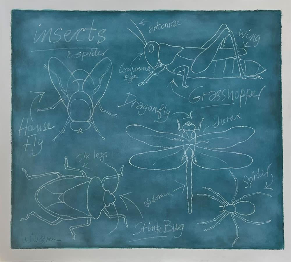 Sally Wildman - Artist Studio Claremont