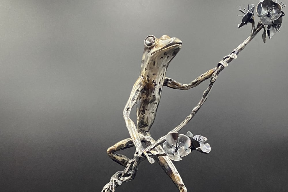 Daniella Boerhof, Artist Profile