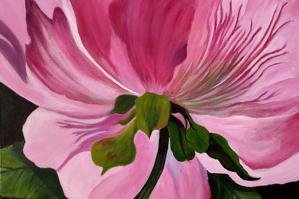 Sharon Nielsen, Artist Profile